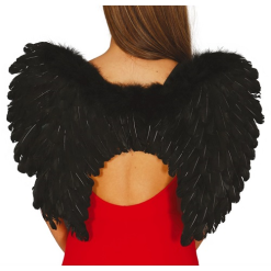 Vleugels Zwart Met Veren 60x45cm