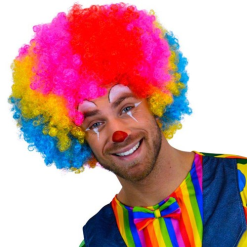 Afro Pruik Regenboog