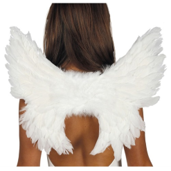 Vleugels Wit Met Veren 50x45cm
