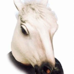 Masker Paard Schimmel