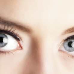 Wimpers Kort Delicate Zwart