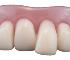 Billy Bob Groovy Baby Gebit