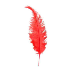 Struisveer Spadona Oranjerood 50-60cm
