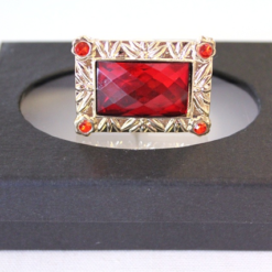 Sinterklaas Ring Rechthoek Groot