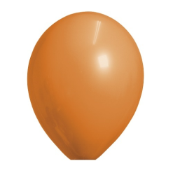 Ballonnen Oranje Standaard 100 Stuks
