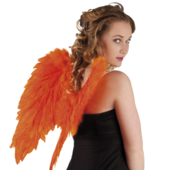 Engelenvleugels Oranje 50×50