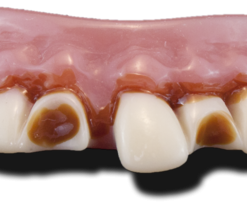 Billy Bob Psycho Clown Gebit