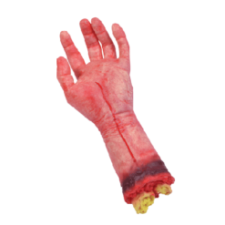 Bloederige Afgehakte Hand