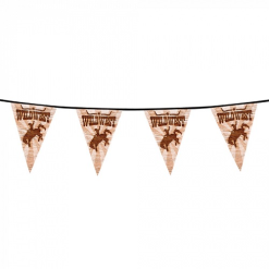 Vlaggenlijn Wild West 6m