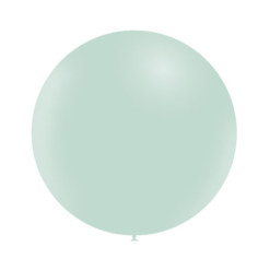 Ballon Rond 50cm Pastel Groen Per Stuk
