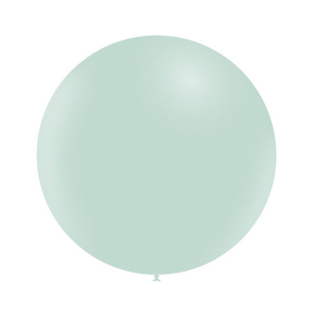 Ballon Rond 50cm Pastel Groen Per Stuk